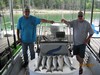 (07/05/2018) - Nice Striped Bass